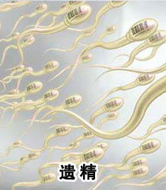 男性如何提高精子存活率